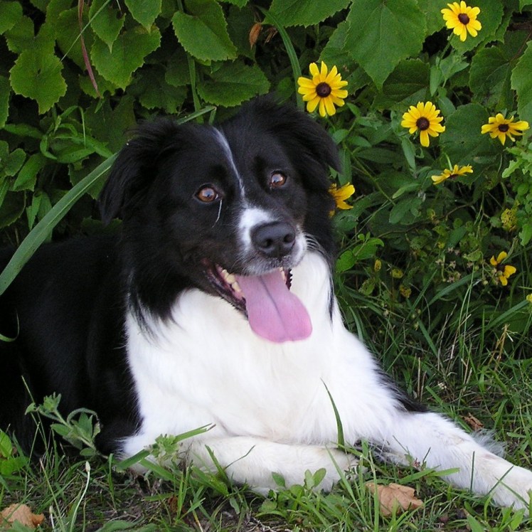 cropped-p1010075-e1539131465234